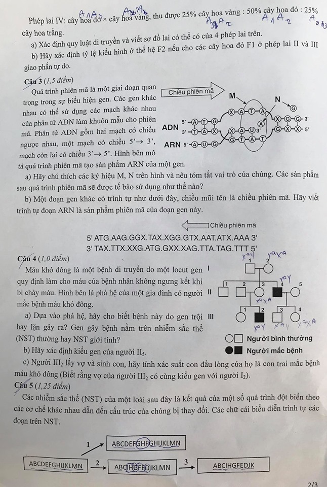 Truyện Quy Tắc Nữ Quan