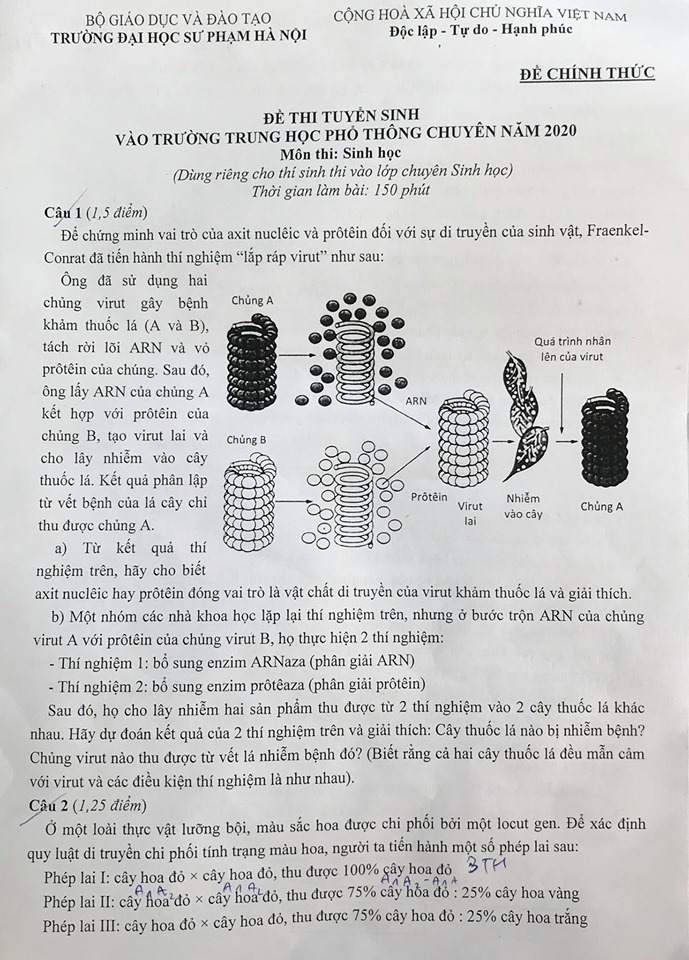 Đề thi Sinh học tuyển sinh vào lớp 10 Trường THPT Chuyên Sư phạm năm 2020