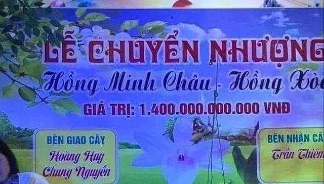 Giao dịch lan đột biến tiền tỷ có phải nộp thuế?