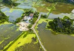 Thai Vi Temple – peaceful place in Ninh Binh province