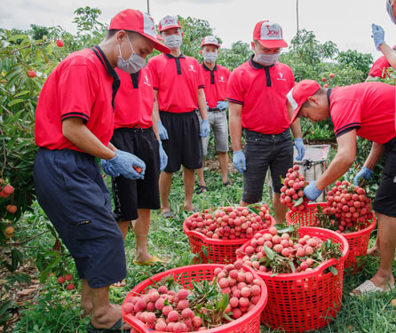 VN businesses struggle to stop export decline