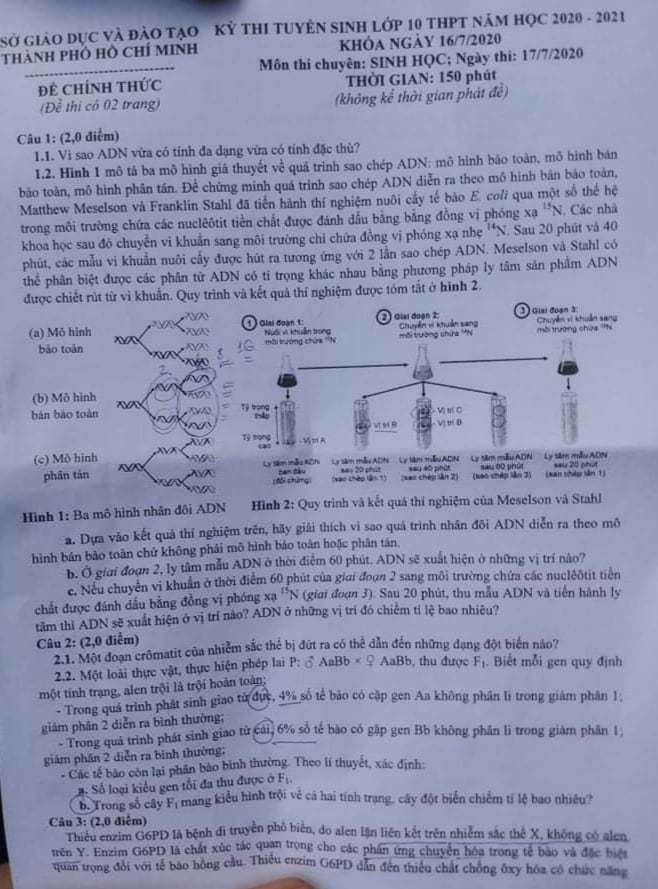 Những mẫu ô tô bị khai tử tại Việt Nam từ đầu năm 2018