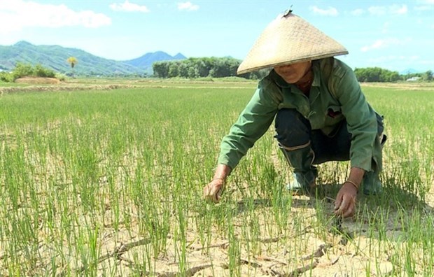 Hot weather continues to hit central provinces