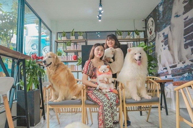 Tổng hợp với hơn 82 về mô hình kinh doanh quán cafe thú cưng hay nhất  Tin  học Đông Hòa