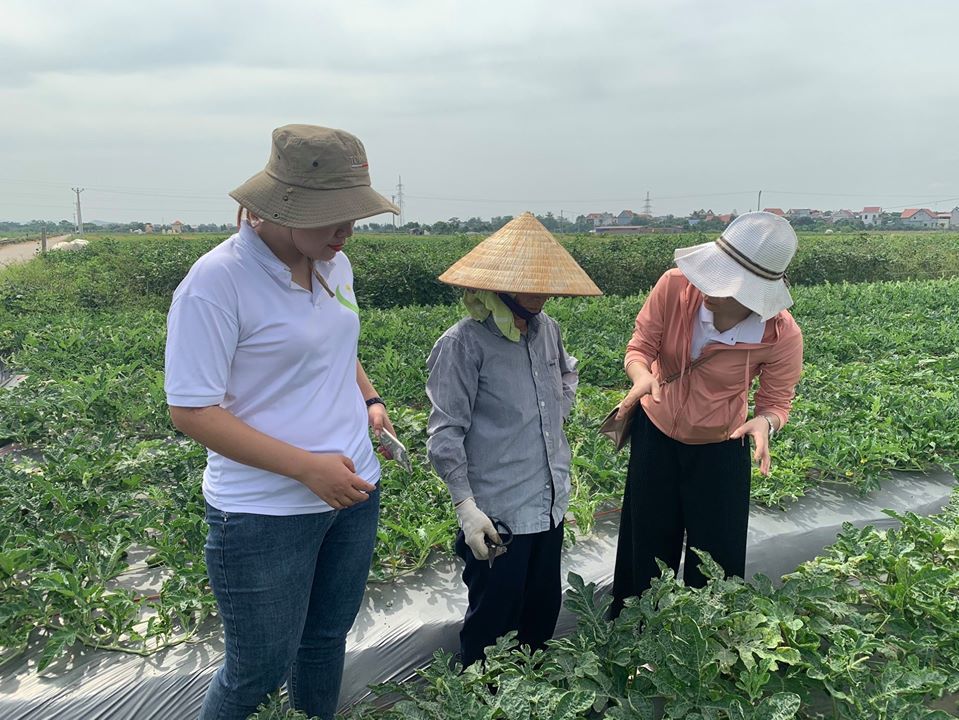 Chương trình Hạnh phúc Quảng Trị giúp phụ nữ Mò Ó vươn lên thoát nghèo