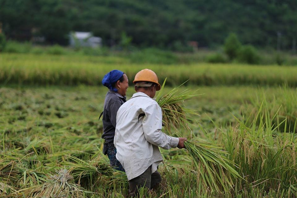 Những phong trào XĐGN thiết thực của nông dân Cam Lộ