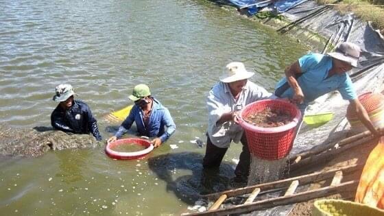 Cà Mau triển khai quyết liệt các giải pháp, phấn đấu giảm 0,5% hộ nghèo