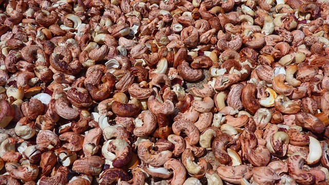 Small cashew nut processors shut down as raw material becomes too expensive