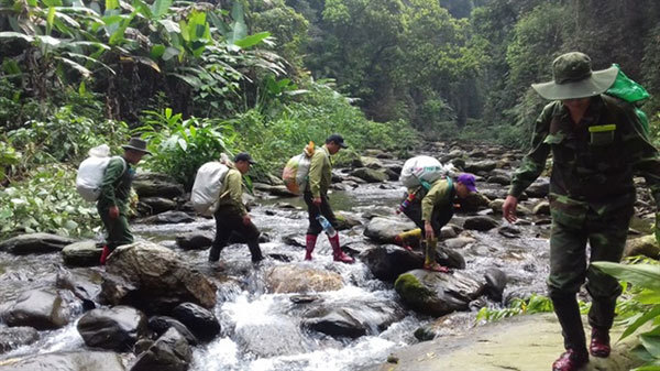 Taskforce in national park rescues hundreds of trapped animals