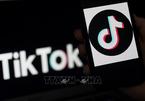 Lộ mức giá "khủng" của TikTok trong thương vụ với Oracle và Walmart