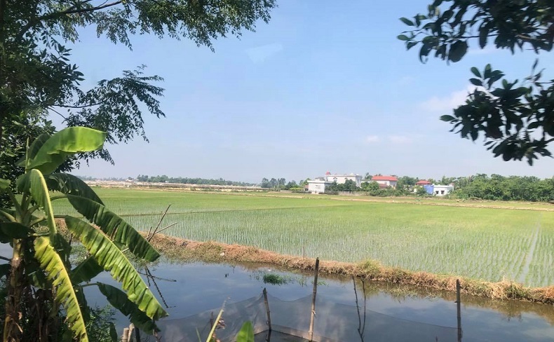 Tiếp tục miễn thuế sử dụng đất nông nghiệp: Khuyến khích sản xuất, nâng cao đời sống người nông dân