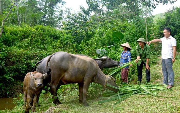 Tuyên Quang: Rà soát chính xác nguyên nhân nghèo để có giải pháp phù hợp