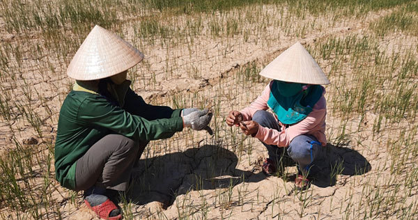 Vietnamese Government plan aims to improve adaptation to climate change