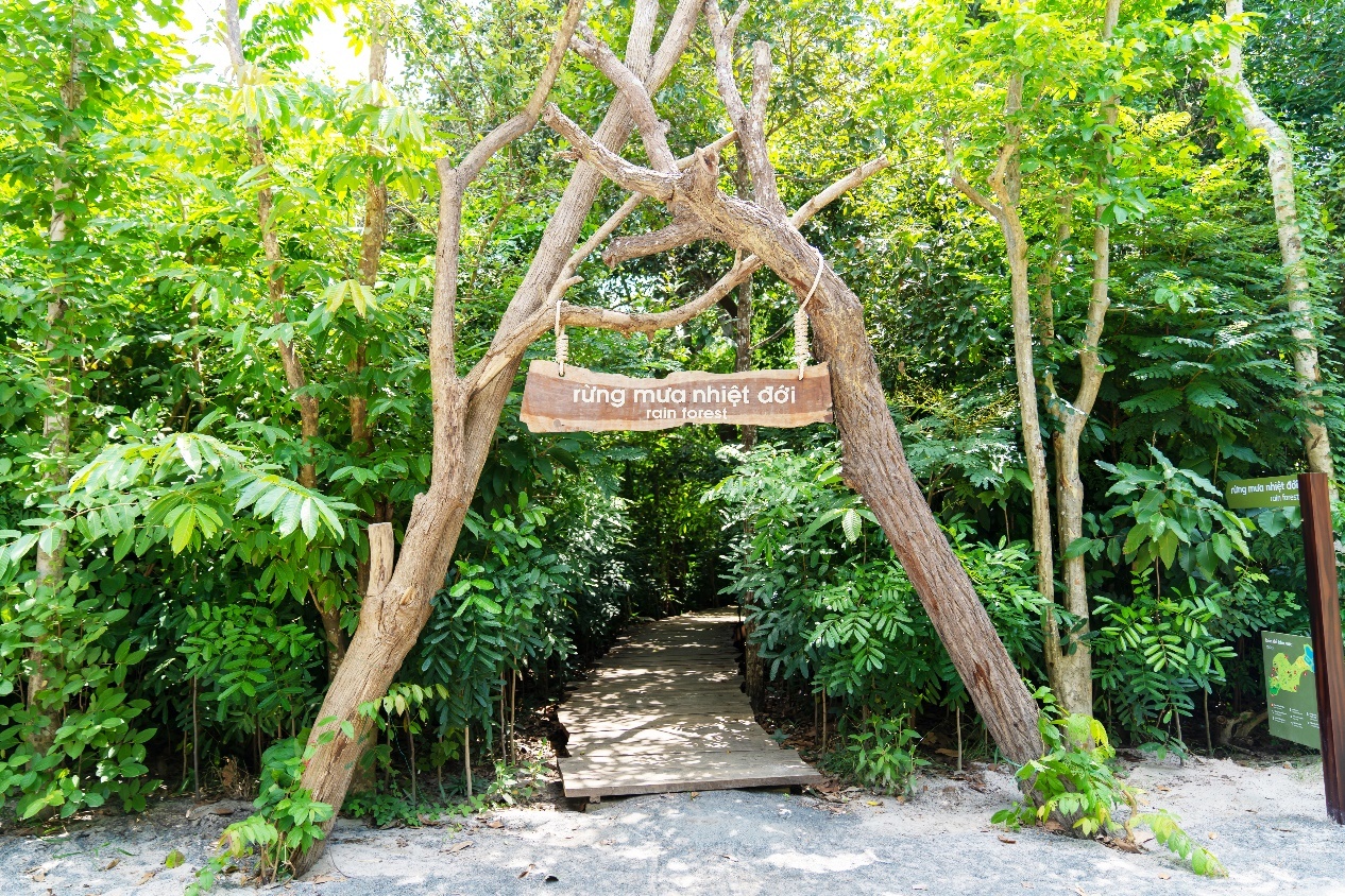 Trải nghiệm ngâm khoáng, trekking rừng nhiệt đới ở Minera Hot Springs Binh Chau