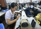 Garment, footwear and woodwork companies look forward to receiving orders in H2