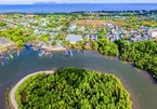 Efforts made to preserve Can Gio Mangrove Biosphere Reserve