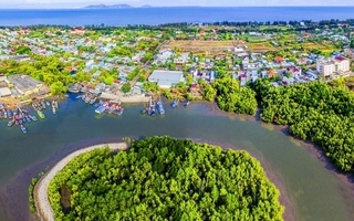 Efforts made to preserve Can Gio Mangrove Biosphere Reserve