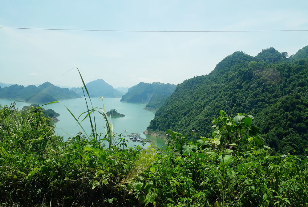 Giàu có nhưng tôi khốn khổ vì con cái tranh nhau tài sản