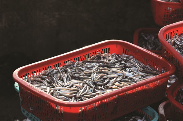 The simple delights of a market tour in Quang Binh