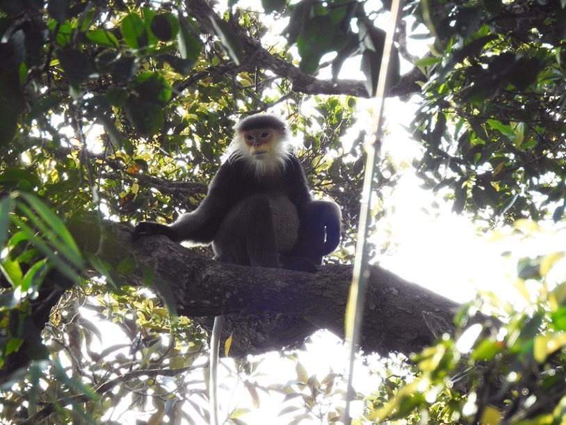 'Treasury' of biodiversity discovered in Kon Tum