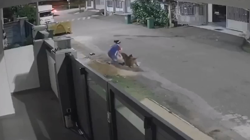 Clip giải cứu 2 cô gái, kẻ cướp điện thoại choáng váng 'nóng' nhất MXH tuần qua