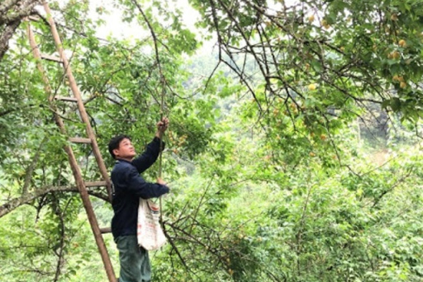 Bắc Kạn đẩy mạnh tuyên truyền làm thay đổi nhận thức của người dân trong thực hiện giảm nghèo bền vững