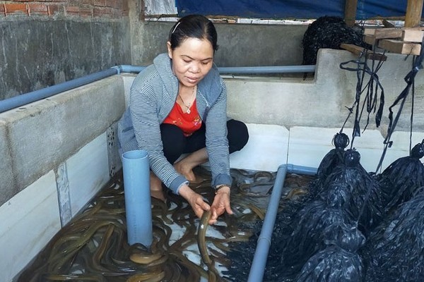 Phú Yên: Có điểm tựa, chị em tự tin nỗ lực vươn lên thoát nghèo