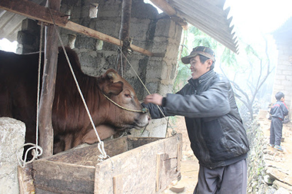 Hỗ trợ hộ mới thoát nghèo nơi vùng cao biên giới