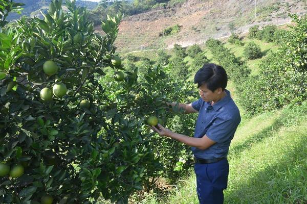 Chìa khóa để người dân Mường Ảng thoát nghèo bền vững