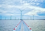 Electricity of Vietnam suggests not to extend deadline for wind farm FiT