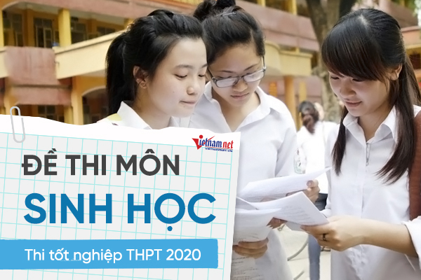 Đáp án tham khảo môn Sinh học thi tốt nghiệp THPT 2020, mã đề 223