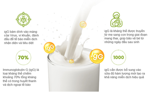 Kháng thể IgG – ‘áo giáp’ bảo vệ hệ miễn dịch của trẻ