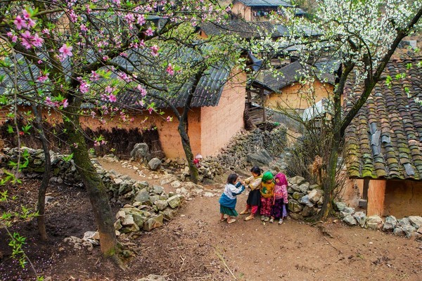 Hà Giang phấn đấu trở thành điển hình về giảm nghèo bền vững