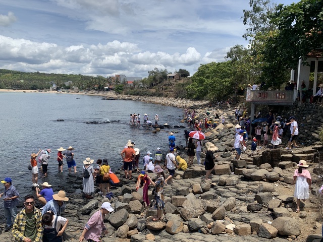 HCM City travel agents suffer as thousands of tours cancelled