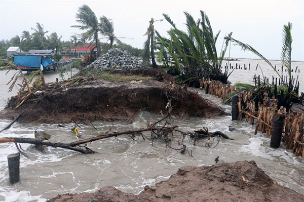 Mekong Delta begins relief work after being battered by heavy rains, winds