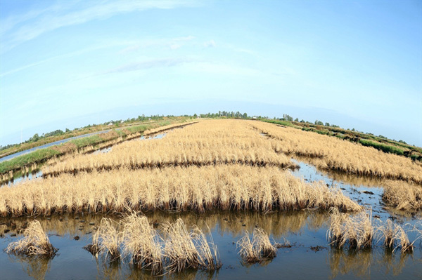 Mekong Delta must be protected from natural disasters