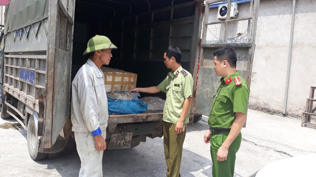 Thu gom hàng tấn lòng lợn, chân gà trôi nổi kiếm lời