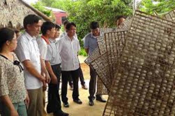 Kinh tế hộ và nhóm hộ truyền cảm ứng cho công tác giảm nghèo