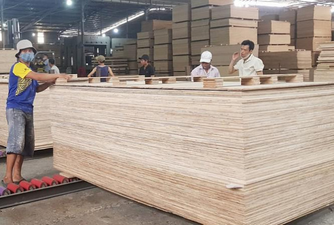 Ngăn chặn hành vi đưa gỗ Trung Quốc sang Việt Nam 'rửa' xuất xứ, bán sang Mỹ