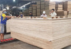Ngăn chặn hành vi đưa gỗ Trung Quốc sang Việt Nam 'rửa' xuất xứ, bán sang Mỹ
