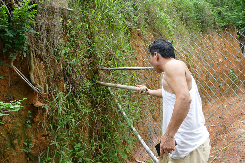 Phát triển đô thị tỉnh Bình Dương giai đoạn 2011