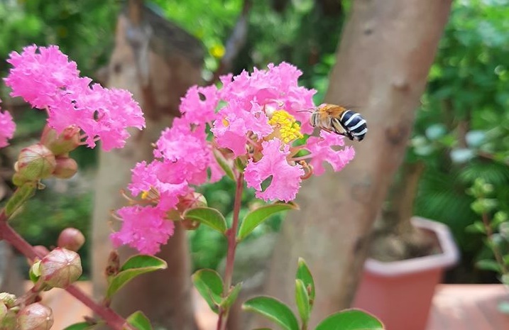 Sau khi bị nhân tình của chồng chế giễu, tôi không còn muốn ly hôn nữa