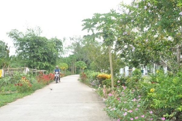 Chính quyền quyết tâm, người dân đồng lòng, Long Phú về đích NTM sớm 1 năm