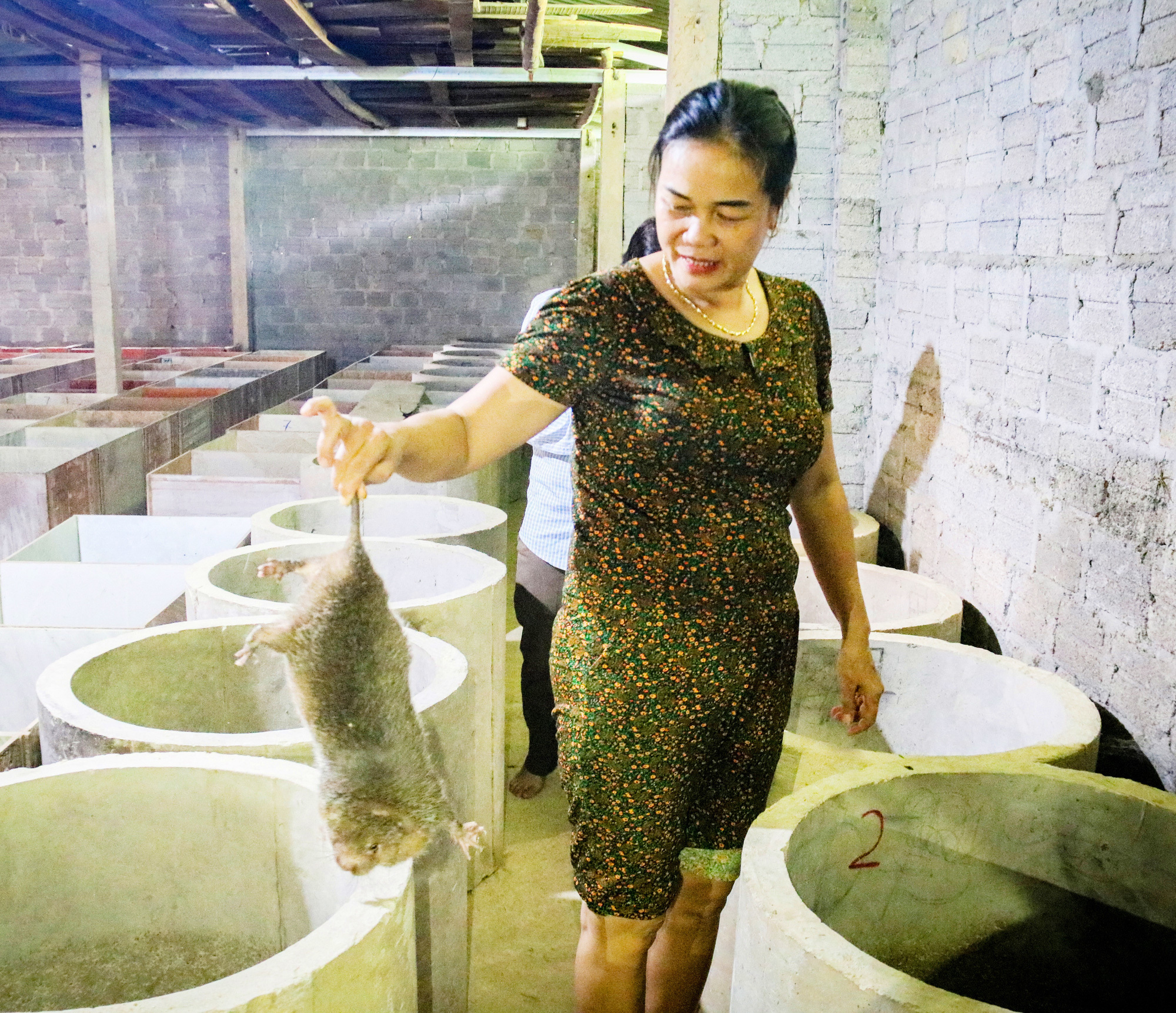 Nuôi loài chuột nghiện ăn tre, nứa, không cần uống nước, một nông dân tỉnh Hà Tĩnh phát tài (+Video) Nuoi-dui-1