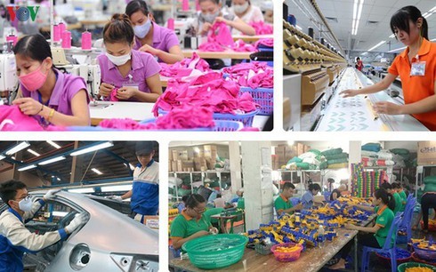 Reform urgently needed for Vietnam to make use of EVFTA