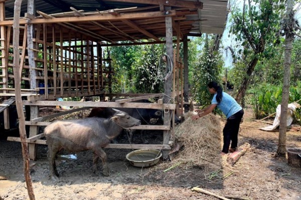 Bình Phước tạo sinh kế cho hộ nghèo ở huyện biên giới Bù Gia Mập