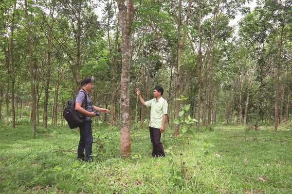 Khai thác hiệu quả quỹ đất, đồng bào A Dơi ung dung giảm nghèo bền vững