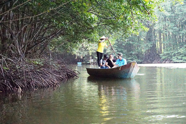 Can Gio Biosphere: the 'green lung' that protects HCM City