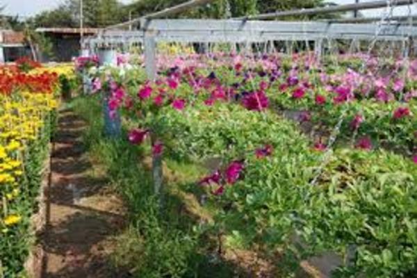 Chuẩn nghèo về thu nhập của Bình Dương cao gấp 1,7 lần so với chuẩn nghèo quốc gia