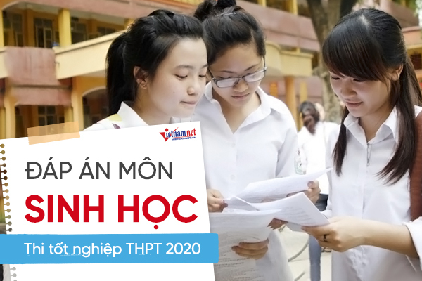 Đáp án môn Sinh học  thi tốt nghiệp THPT 2020 của Bộ GD-ĐT